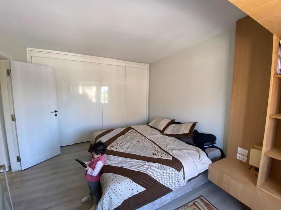 The Cozy Apartment