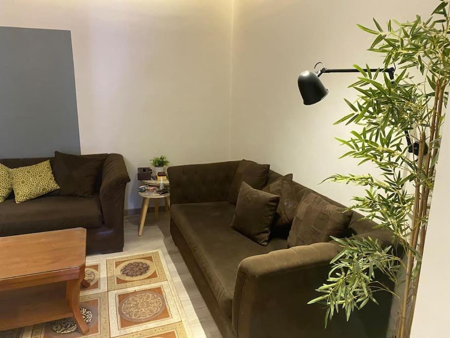 The Cozy Apartment