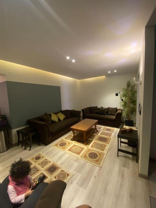 The Cozy Apartment *